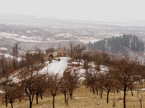 Foto Solitara de pe Dealul Tieiului (c) Petru Goja